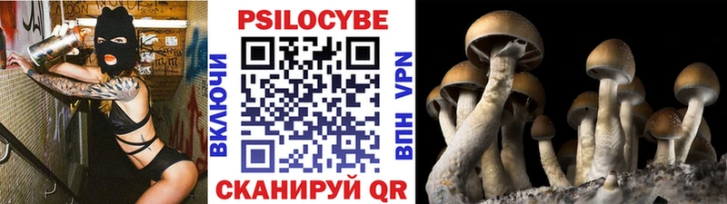 Псилоцибиновые грибы ЛСД  blacksprut как войти  Ялуторовск 